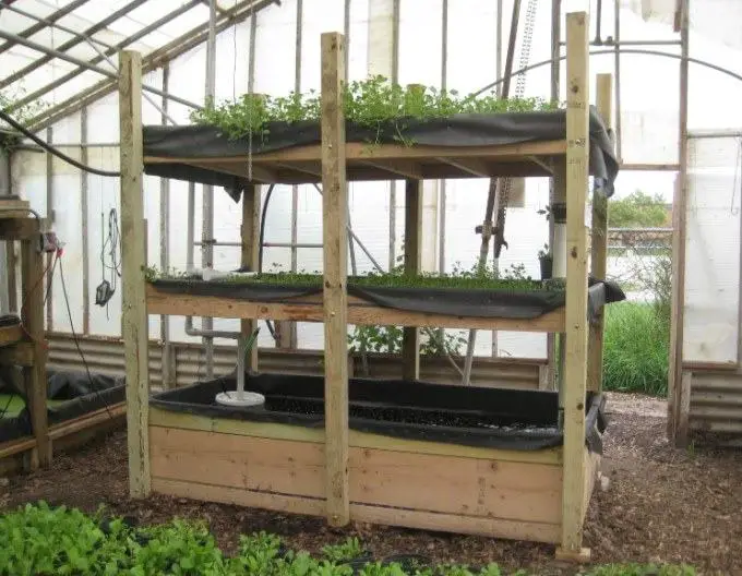aquaponics