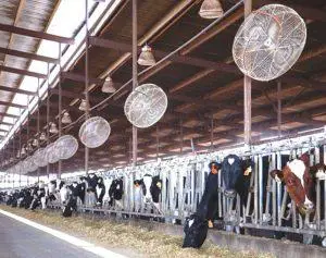 best barn fan reviews