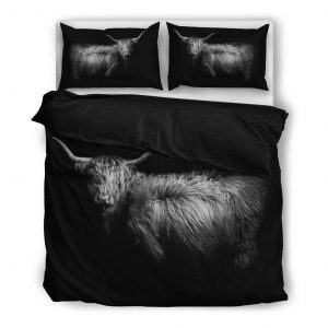highland cattle in the dark black