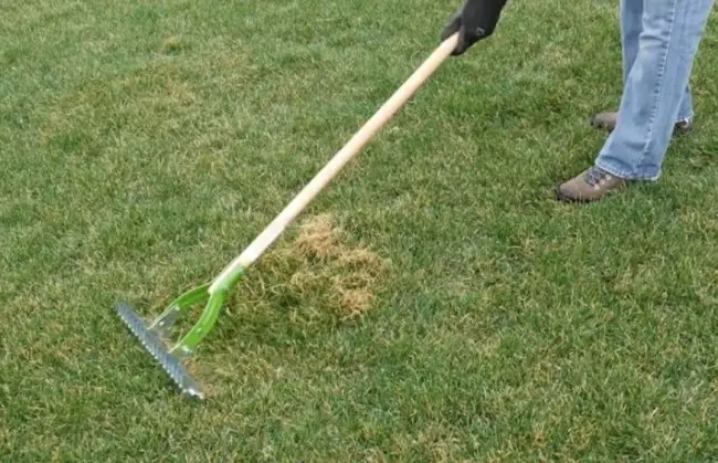 manual Dethatcher