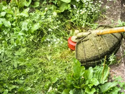 Grass line trimmers