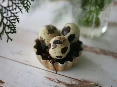 Three Quail Eggs