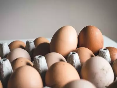 eggs in a carton